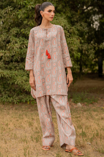 Many paisley 2 piece