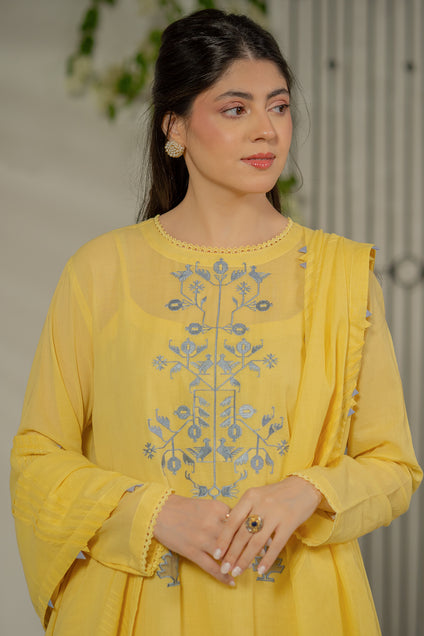 Jaaliyan 3 piece
